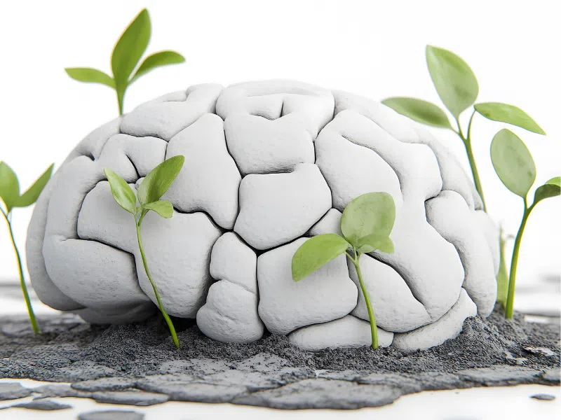 איך להיות אופטימי ולפתח חשיבה חיובית ביומיום?